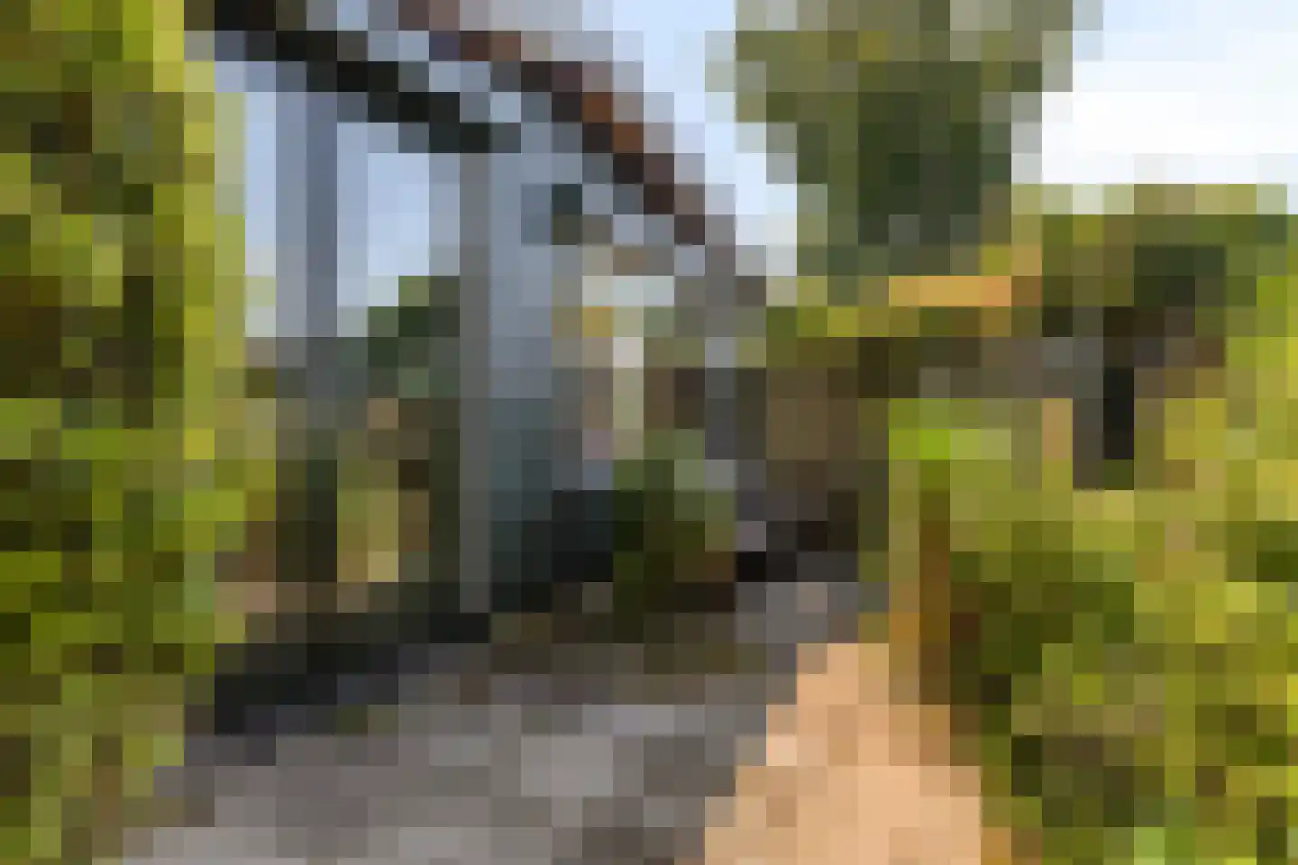 Geertruidaweg 40 Scherpenisse thumbnail 39