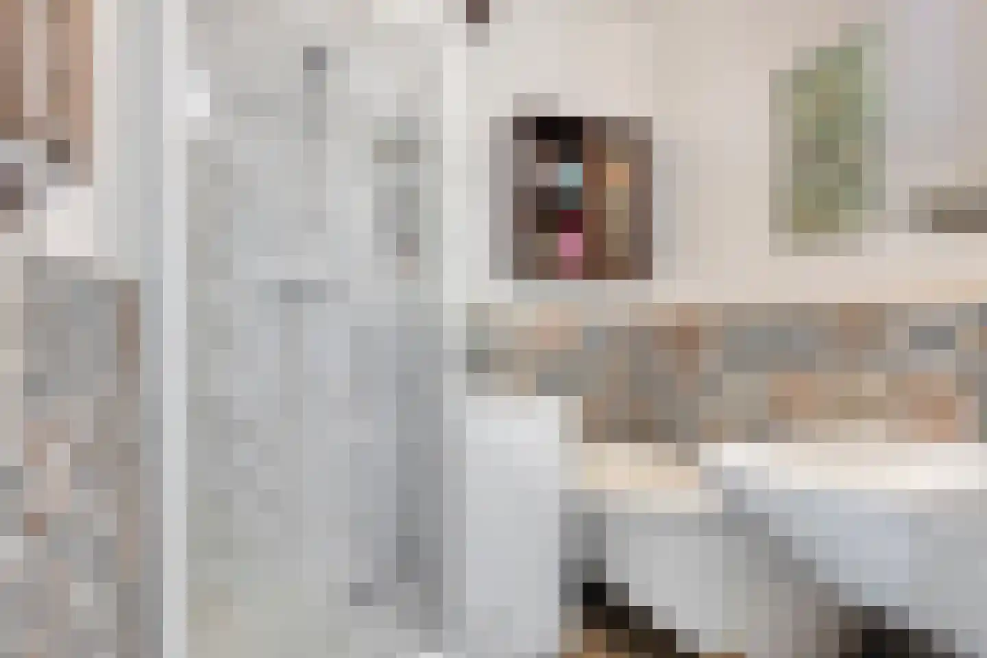 Geertruidaweg 40 Scherpenisse thumbnail 4
