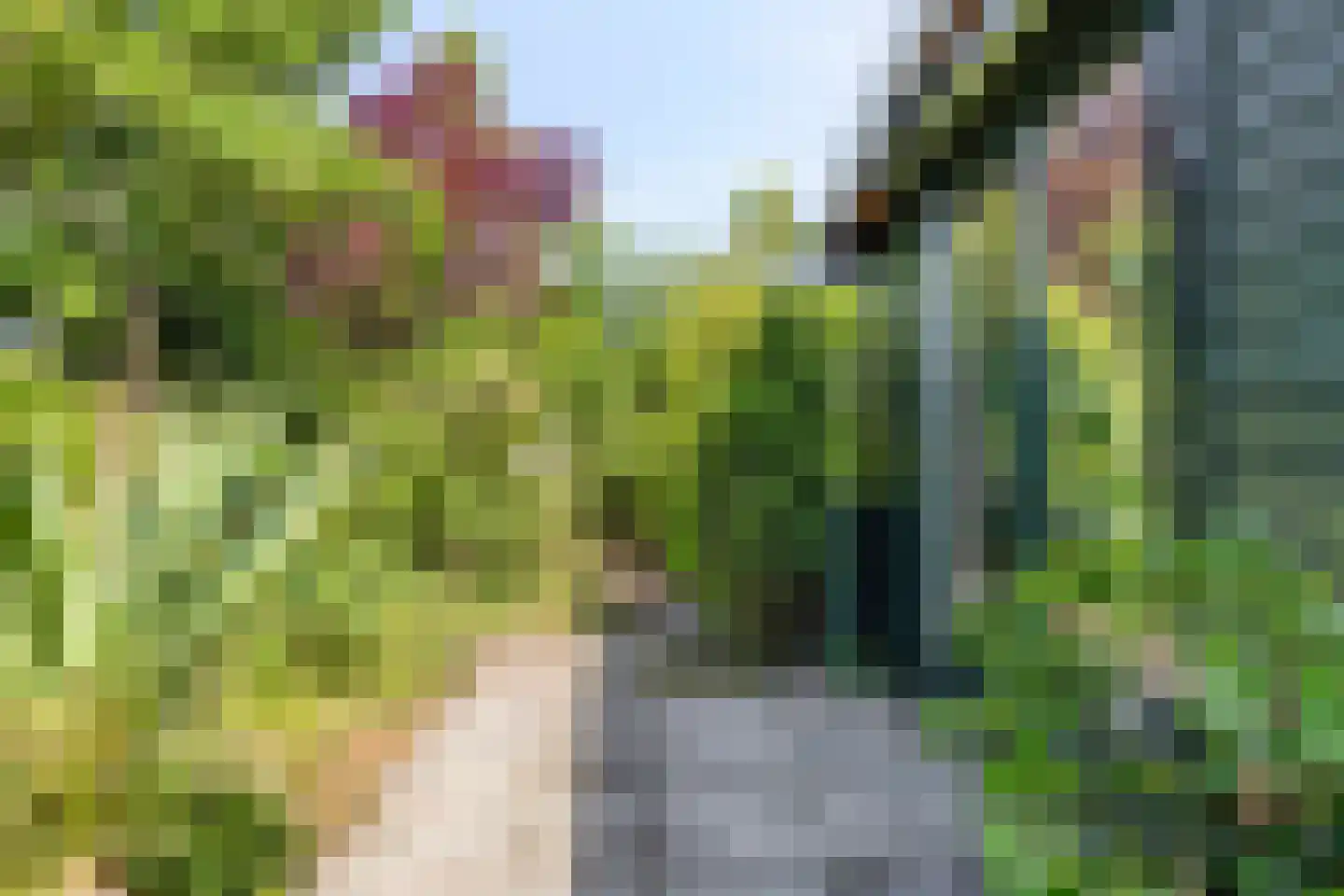 Geertruidaweg 40 Scherpenisse thumbnail 40