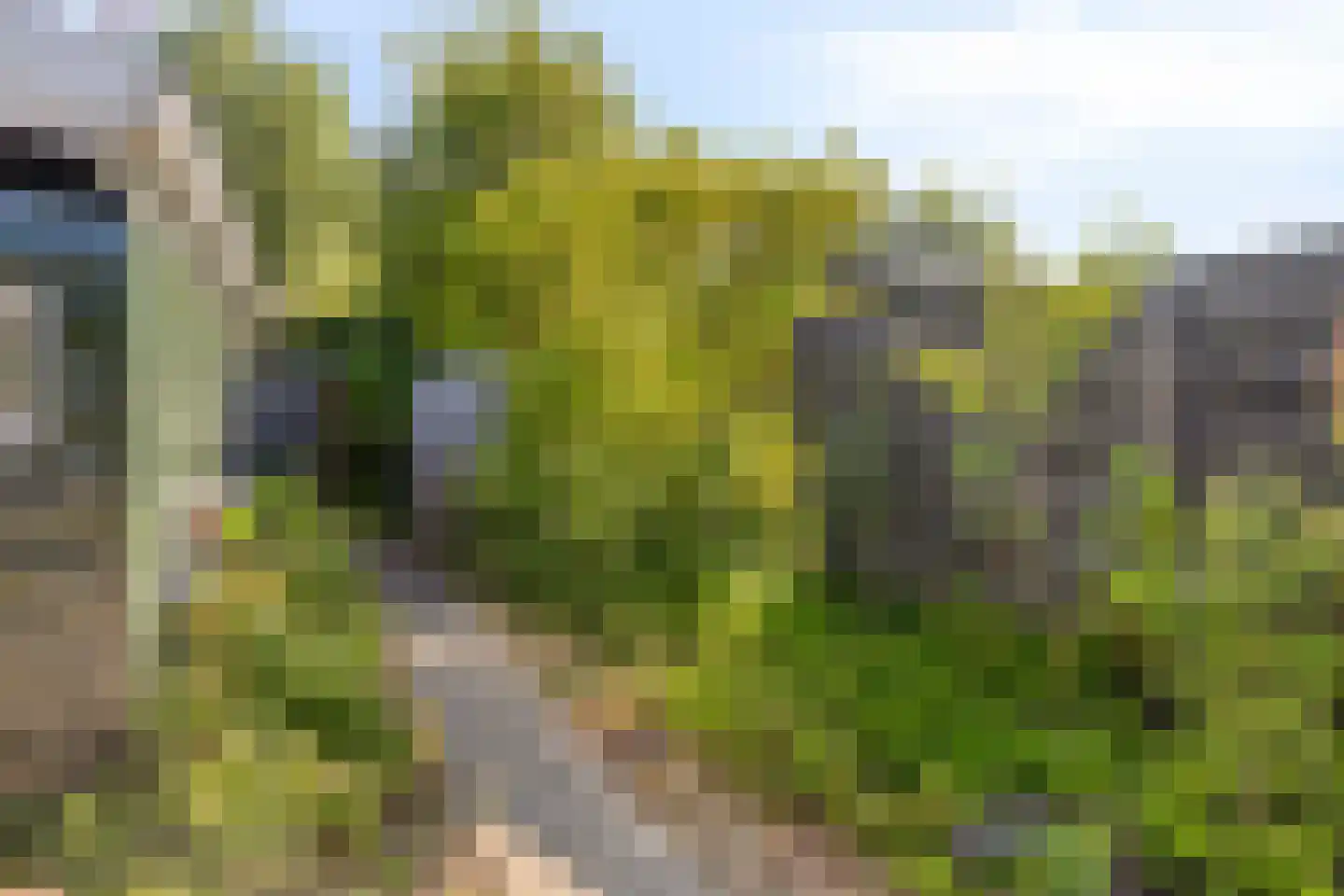 Geertruidaweg 40 Scherpenisse thumbnail 42