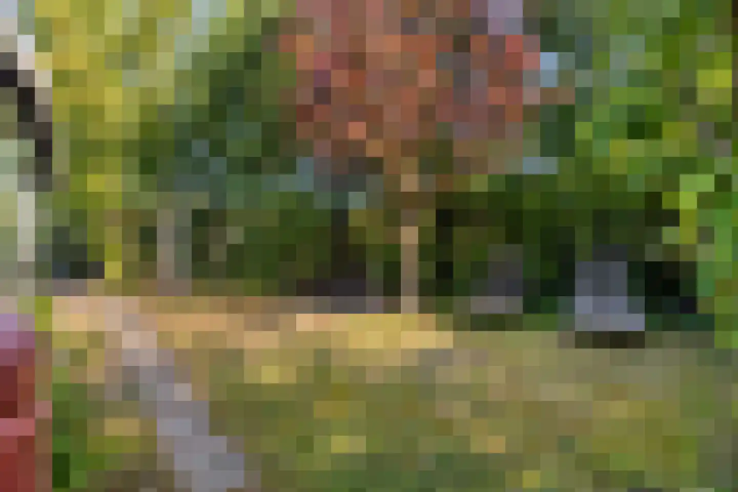 Geertruidaweg 40 Scherpenisse thumbnail 43