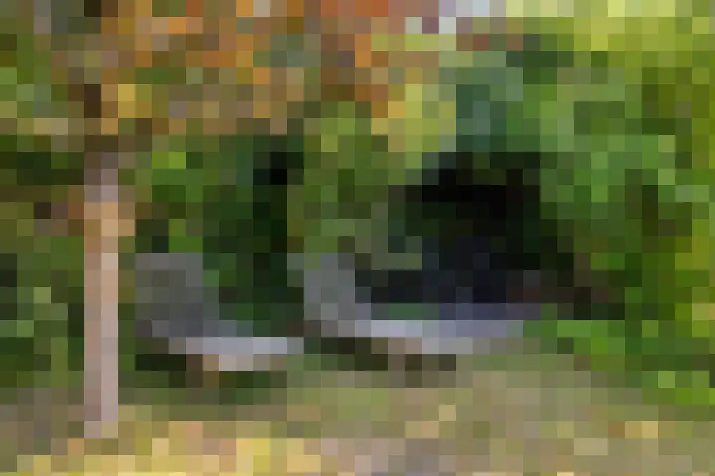 Geertruidaweg 40 Scherpenisse thumbnail 44