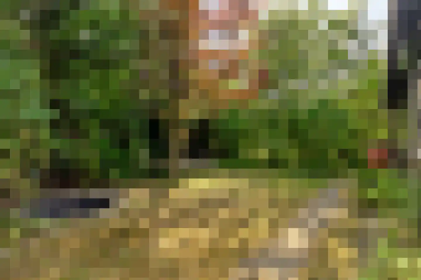 Geertruidaweg 40 Scherpenisse thumbnail 45