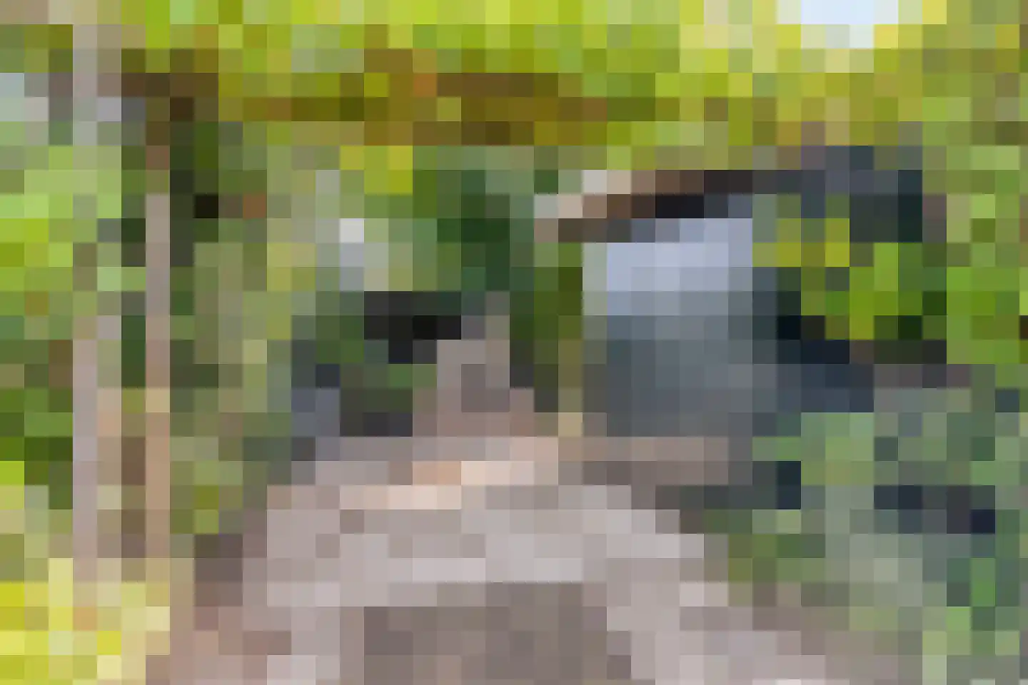 Geertruidaweg 40 Scherpenisse thumbnail 47
