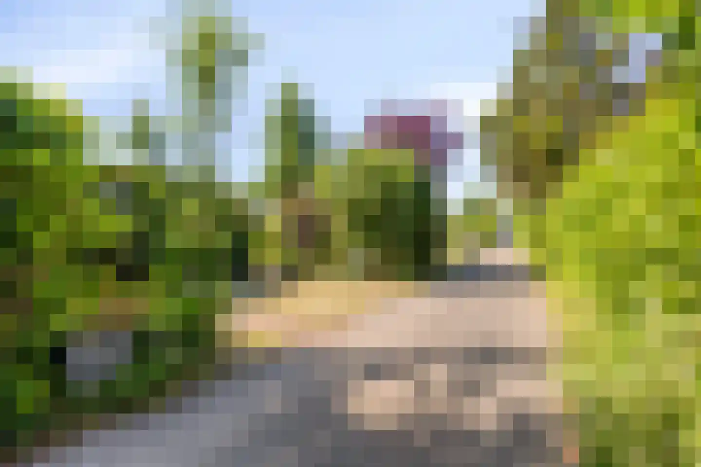 Geertruidaweg 40 Scherpenisse thumbnail 48