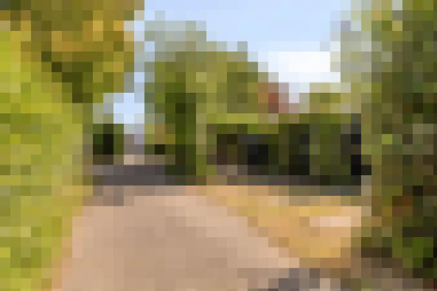 Geertruidaweg 40 Scherpenisse thumbnail 49