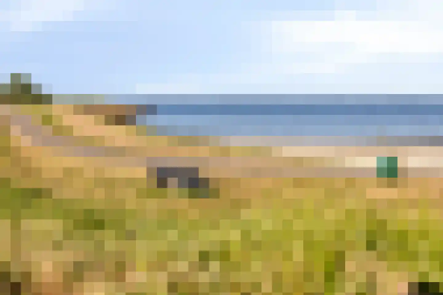 Geertruidaweg 40 Scherpenisse thumbnail 50