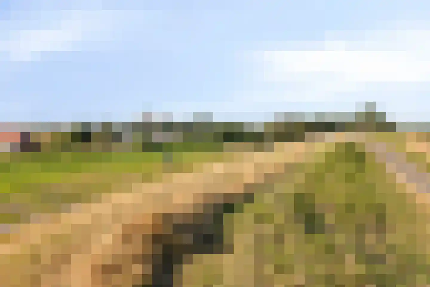 Geertruidaweg 40 Scherpenisse thumbnail 52