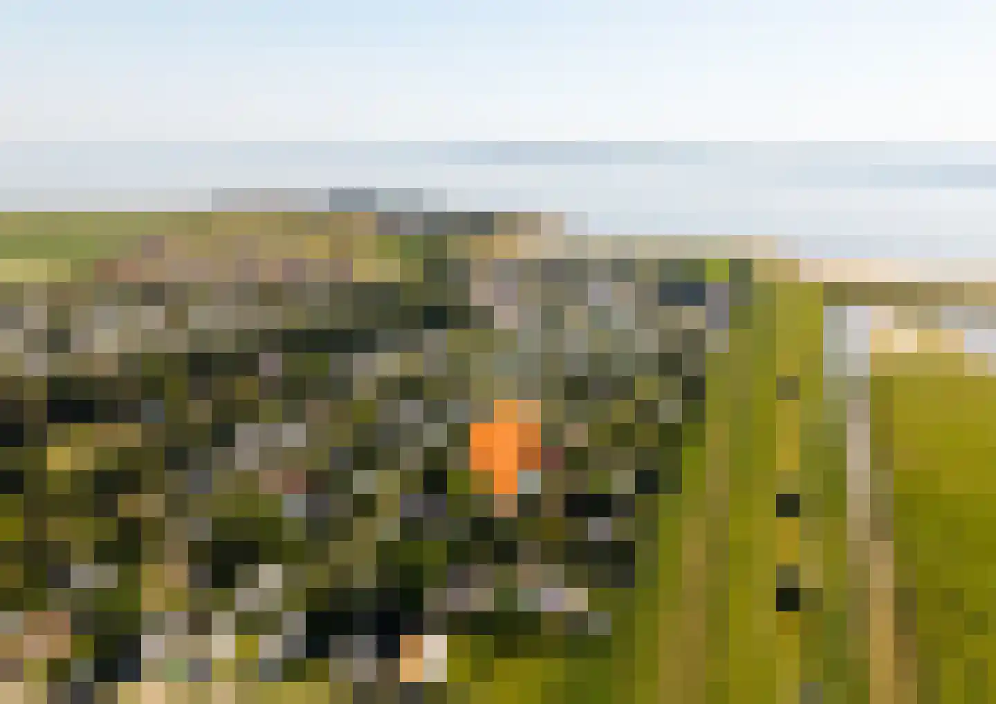 Geertruidaweg 40 Scherpenisse thumbnail 55