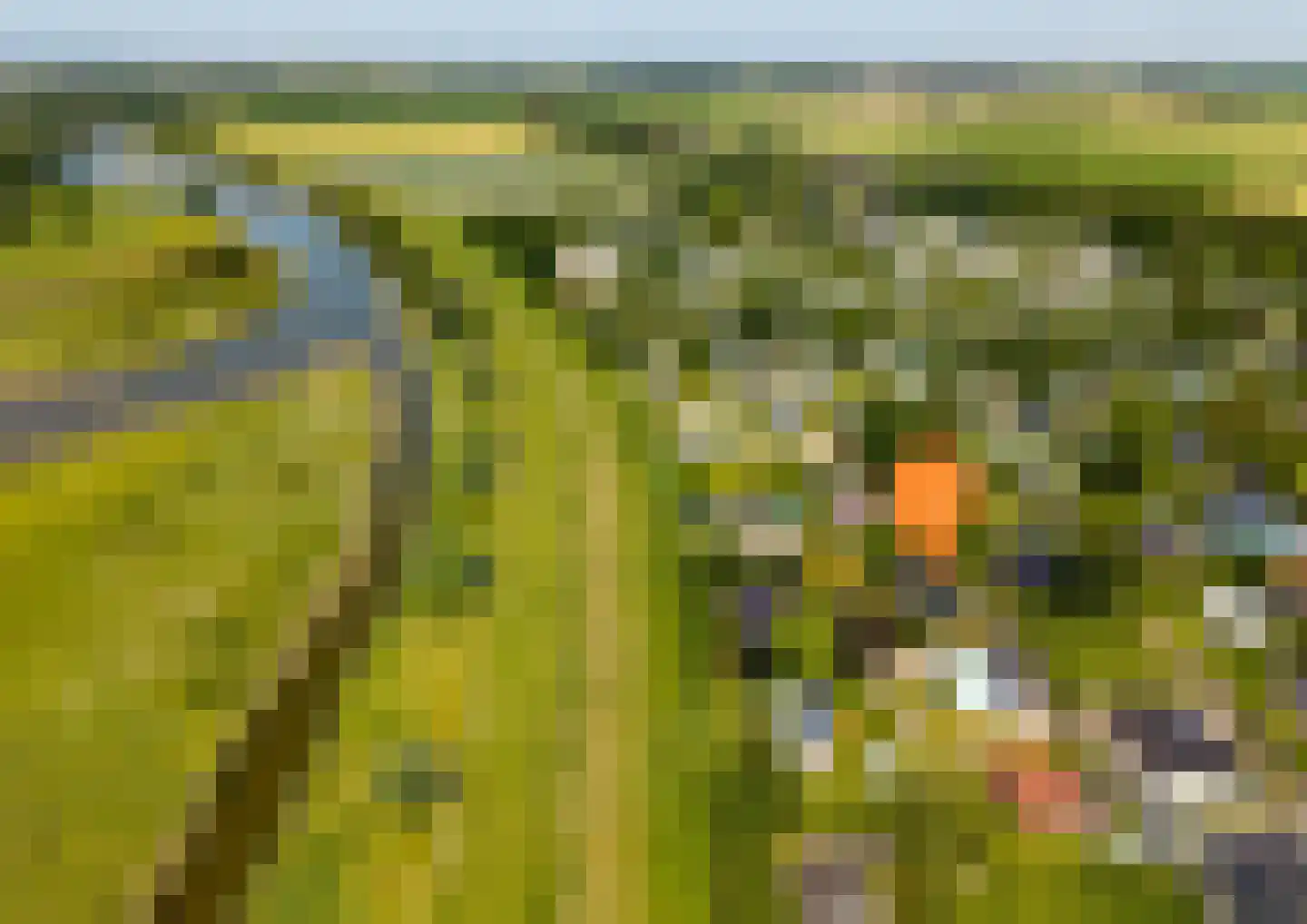 Geertruidaweg 40 Scherpenisse thumbnail 7