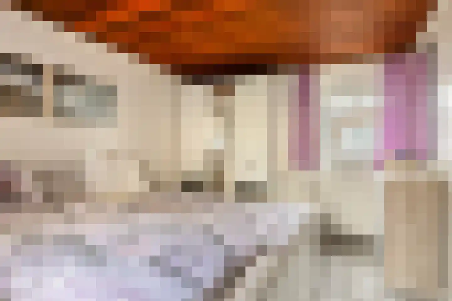 Geertruidaweg 6 Scherpenisse thumbnail 18