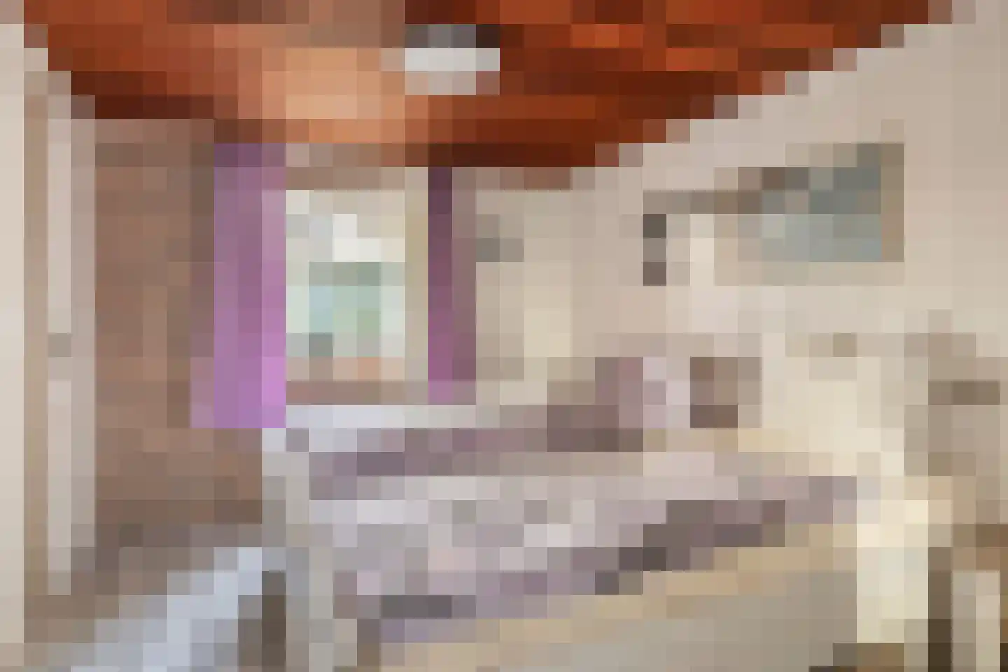 Geertruidaweg 6 Scherpenisse thumbnail 19