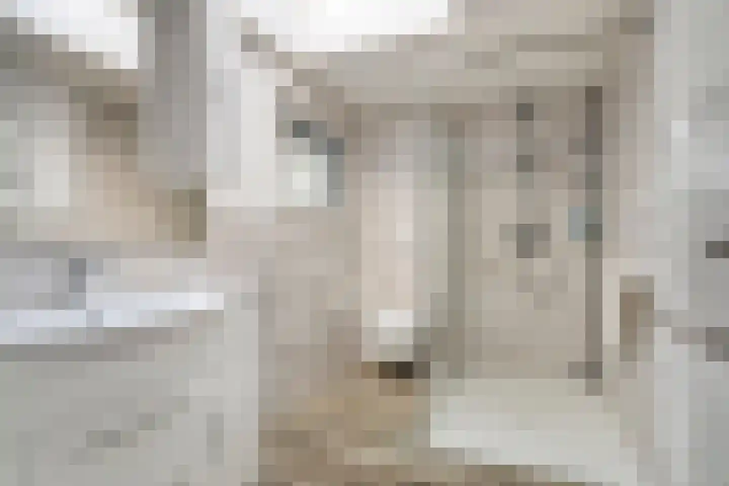 Geertruidaweg 6 Scherpenisse thumbnail 27