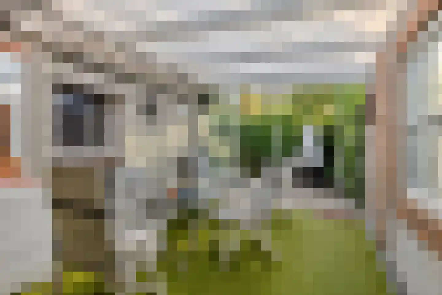 Geertruidaweg 6 Scherpenisse thumbnail 30