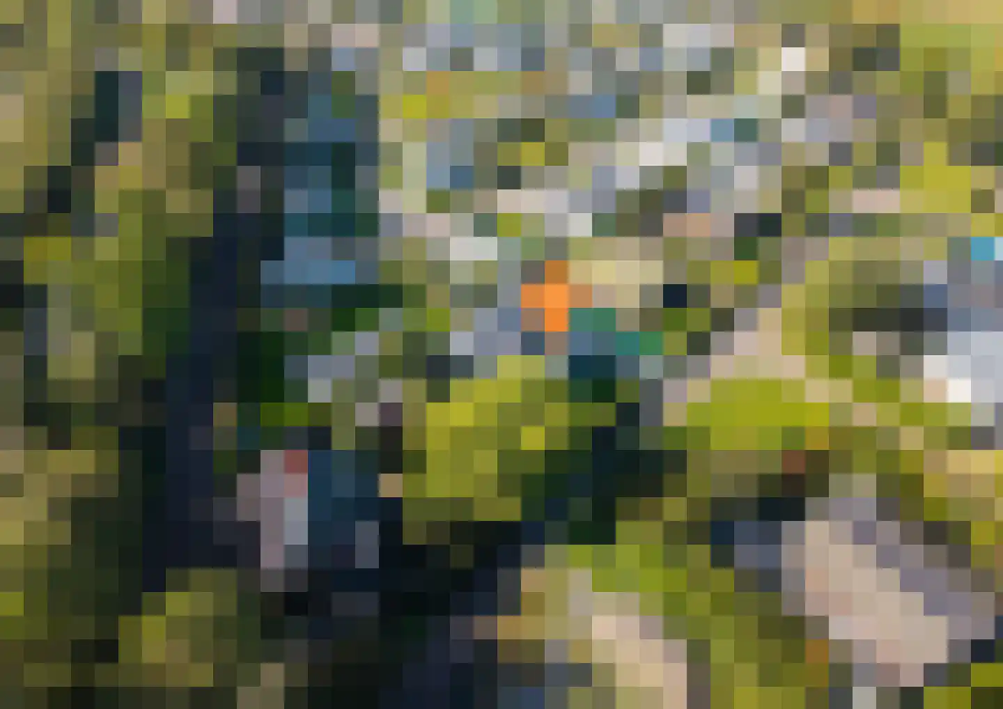 Geertruidaweg 6 Scherpenisse thumbnail 55