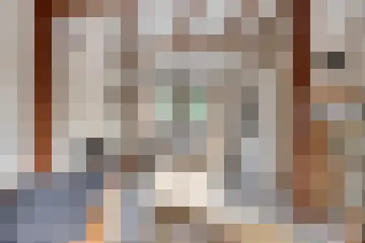 Geertruidaweg 82 Scherpenisse thumbnail 10