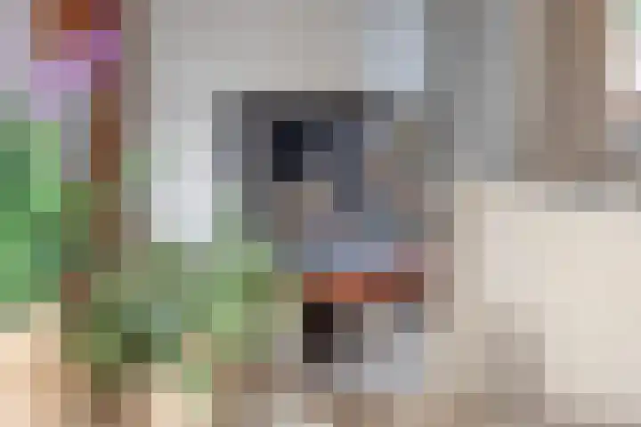 Geertruidaweg 82 Scherpenisse thumbnail 11
