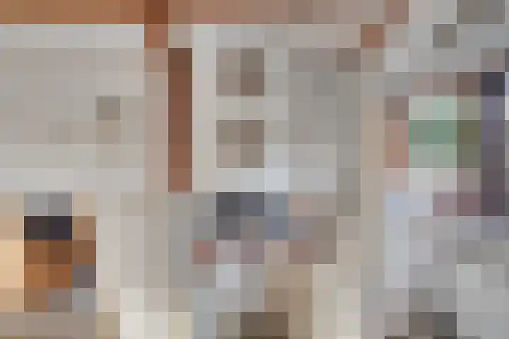 Geertruidaweg 82 Scherpenisse thumbnail 12