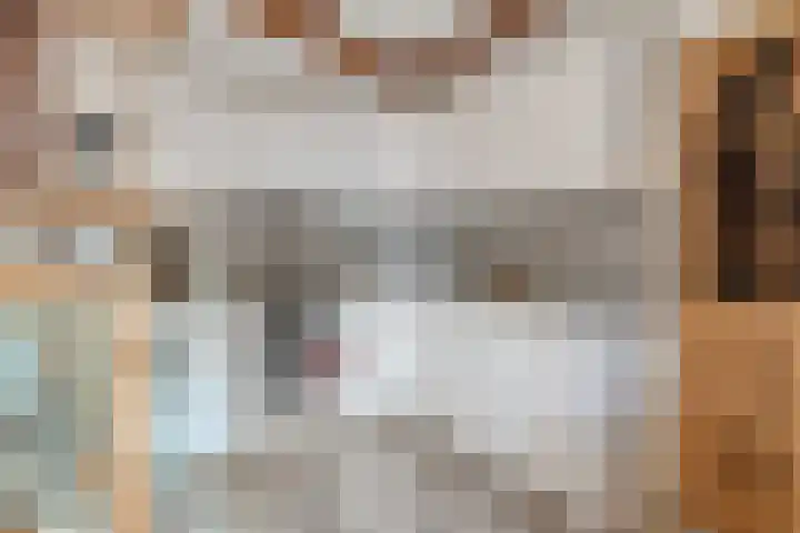 Geertruidaweg 82 Scherpenisse thumbnail 13