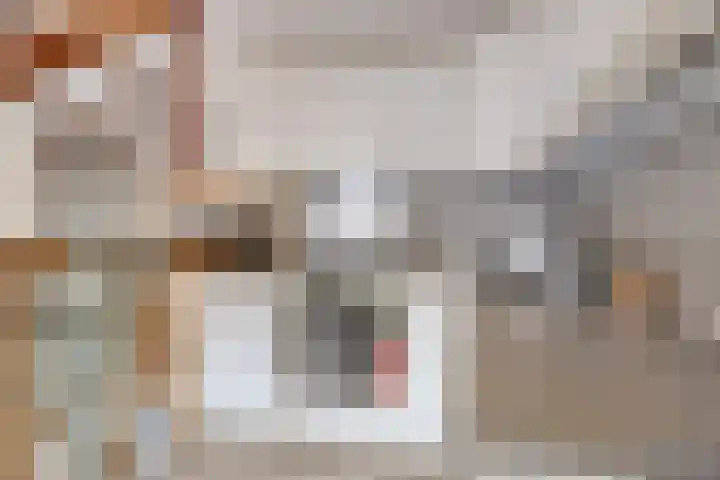 Geertruidaweg 82 Scherpenisse thumbnail 14