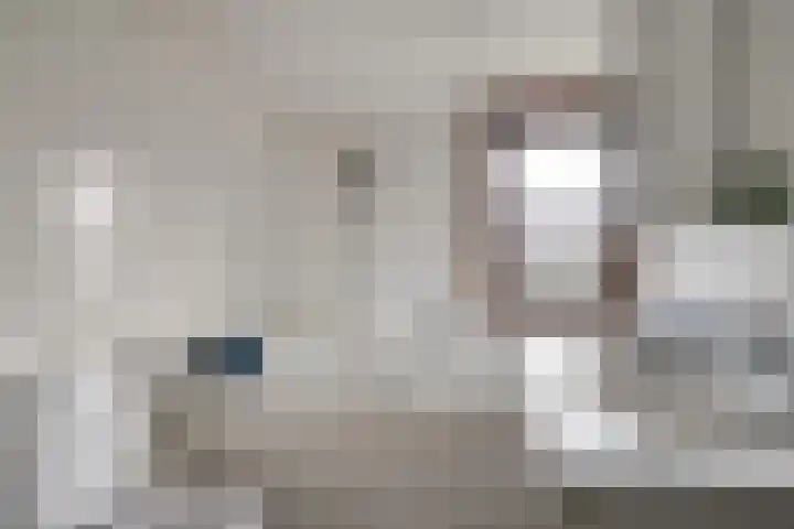 Geertruidaweg 82 Scherpenisse thumbnail 17