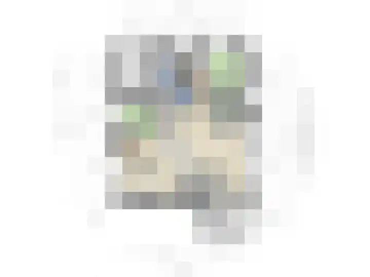 Geertruidaweg 82 Scherpenisse thumbnail 21