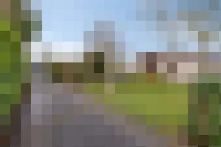 Geertruidaweg 82 Scherpenisse thumbnail 22