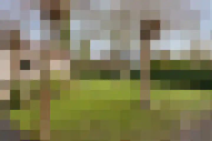 Geertruidaweg 82 Scherpenisse thumbnail 23