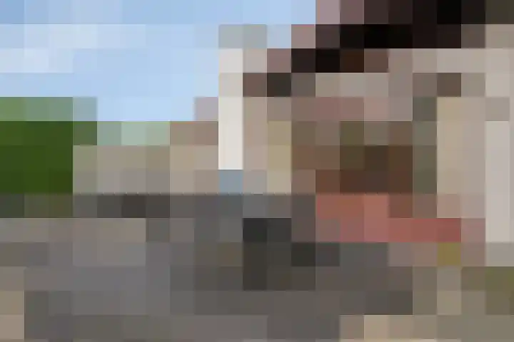 Geertruidaweg 82 Scherpenisse thumbnail 24