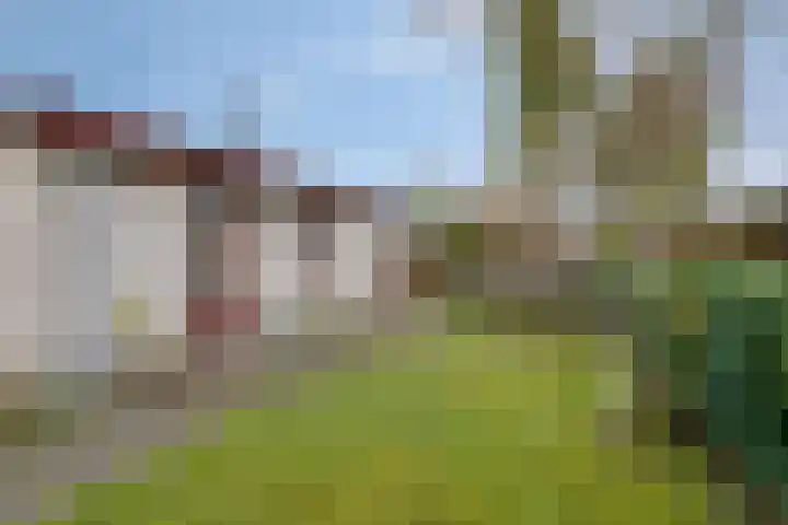 Geertruidaweg 82 Scherpenisse thumbnail 28