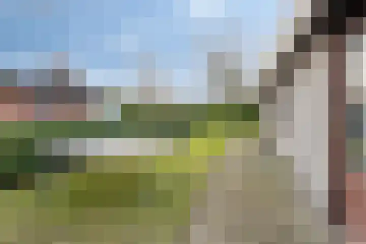 Geertruidaweg 82 Scherpenisse thumbnail 29