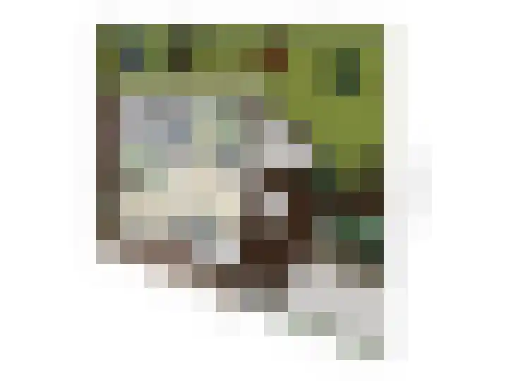 Geertruidaweg 82 Scherpenisse thumbnail 31