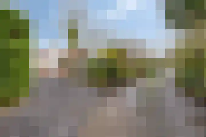 Geertruidaweg 82 Scherpenisse thumbnail 32