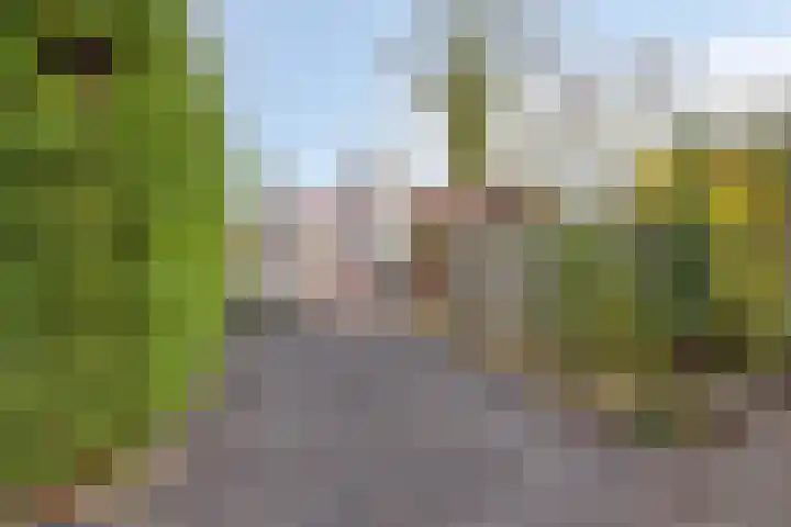 Geertruidaweg 82 Scherpenisse thumbnail 33