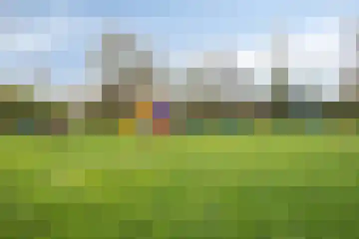Geertruidaweg 82 Scherpenisse thumbnail 36