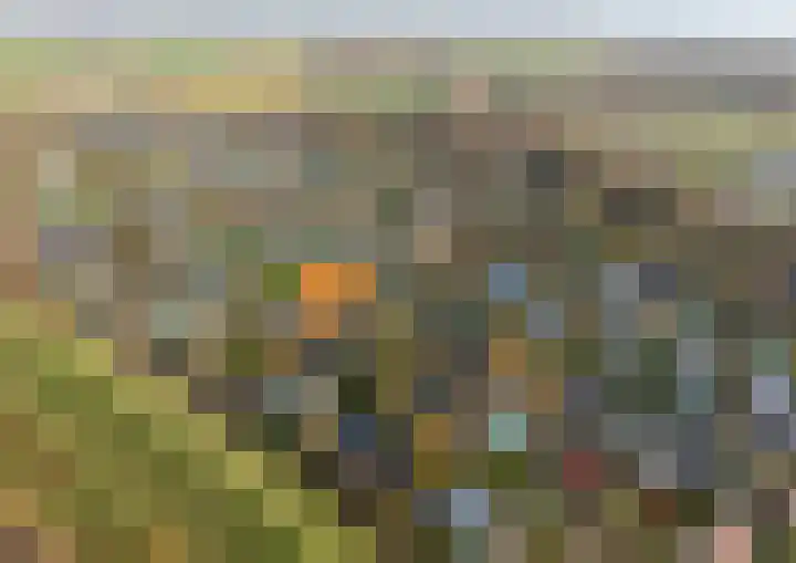 Geertruidaweg 82 Scherpenisse thumbnail 38