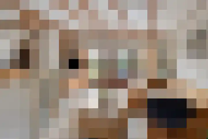 Geertruidaweg 82 Scherpenisse thumbnail 4