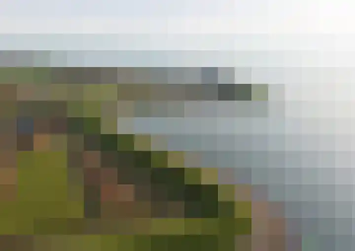 Geertruidaweg 82 Scherpenisse thumbnail 40