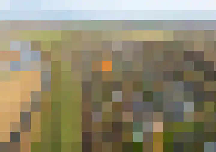 Geertruidaweg 82 Scherpenisse thumbnail 41