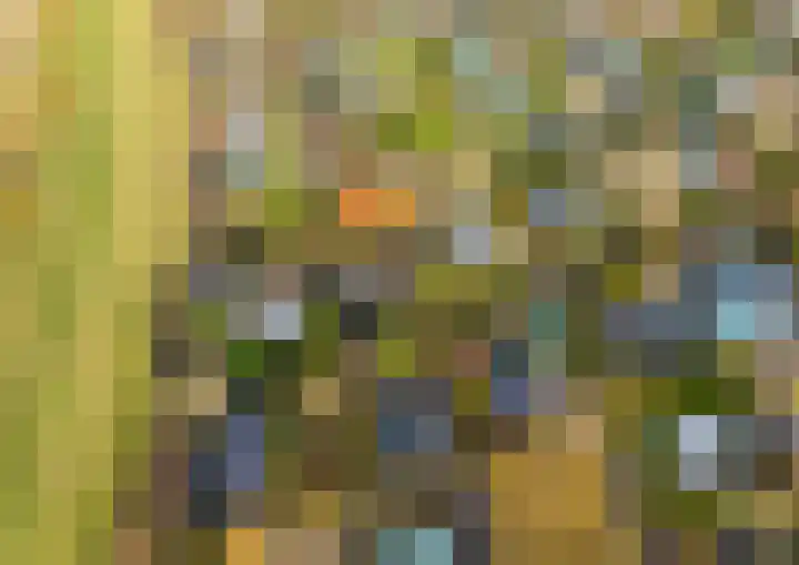 Geertruidaweg 82 Scherpenisse thumbnail 42