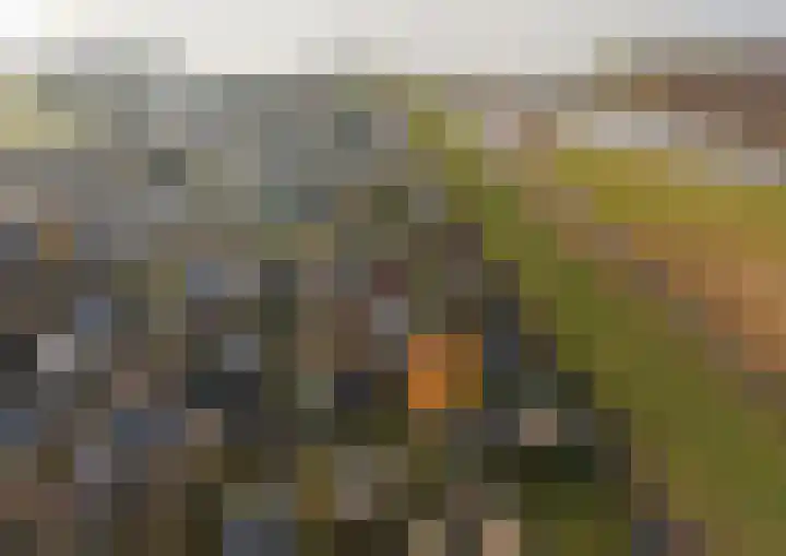 Geertruidaweg 82 Scherpenisse thumbnail 43