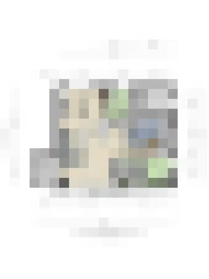 Geertruidaweg 82 Scherpenisse thumbnail 46