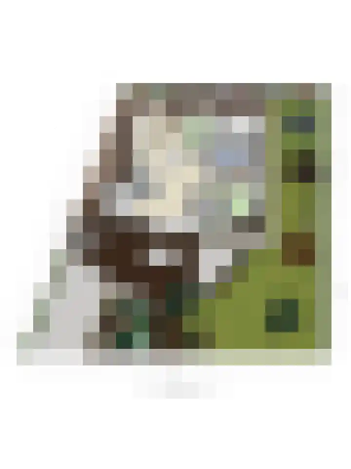 Geertruidaweg 82 Scherpenisse thumbnail 47