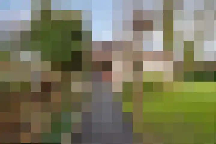 Geertruidaweg 82 Scherpenisse thumbnail 5
