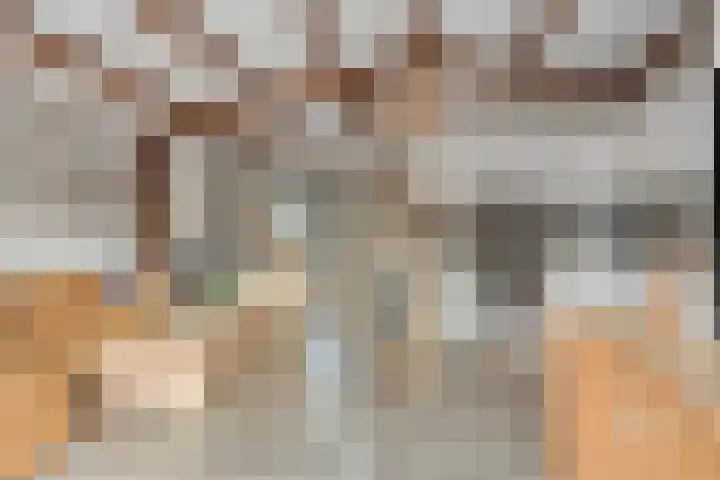 Geertruidaweg 82 Scherpenisse thumbnail 6