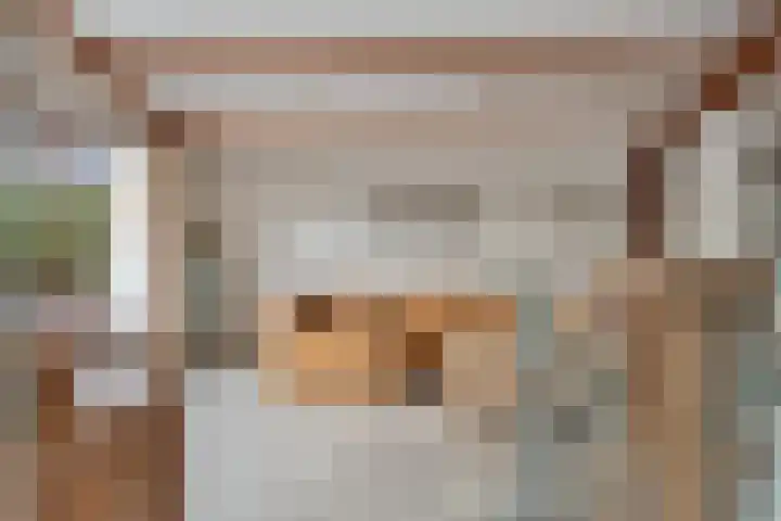 Geertruidaweg 82 Scherpenisse thumbnail 8