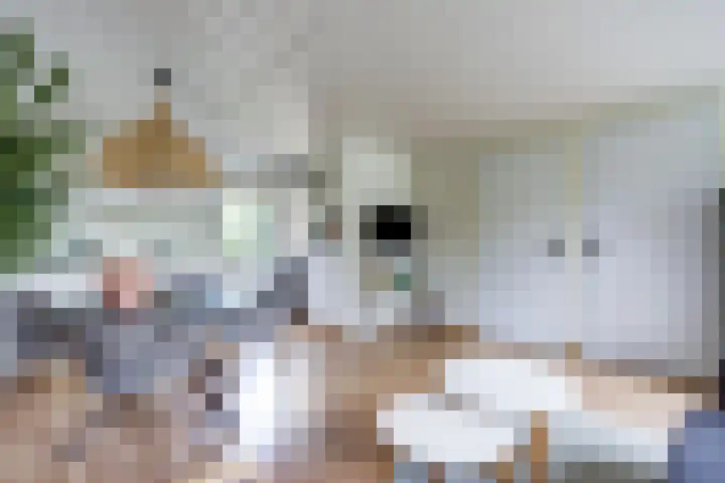 Geertruidaweg 88 Scherpenisse thumbnail 10