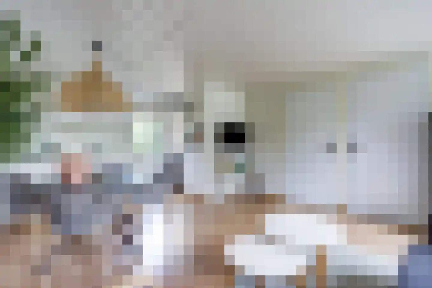 Geertruidaweg 88 Scherpenisse thumbnail 10