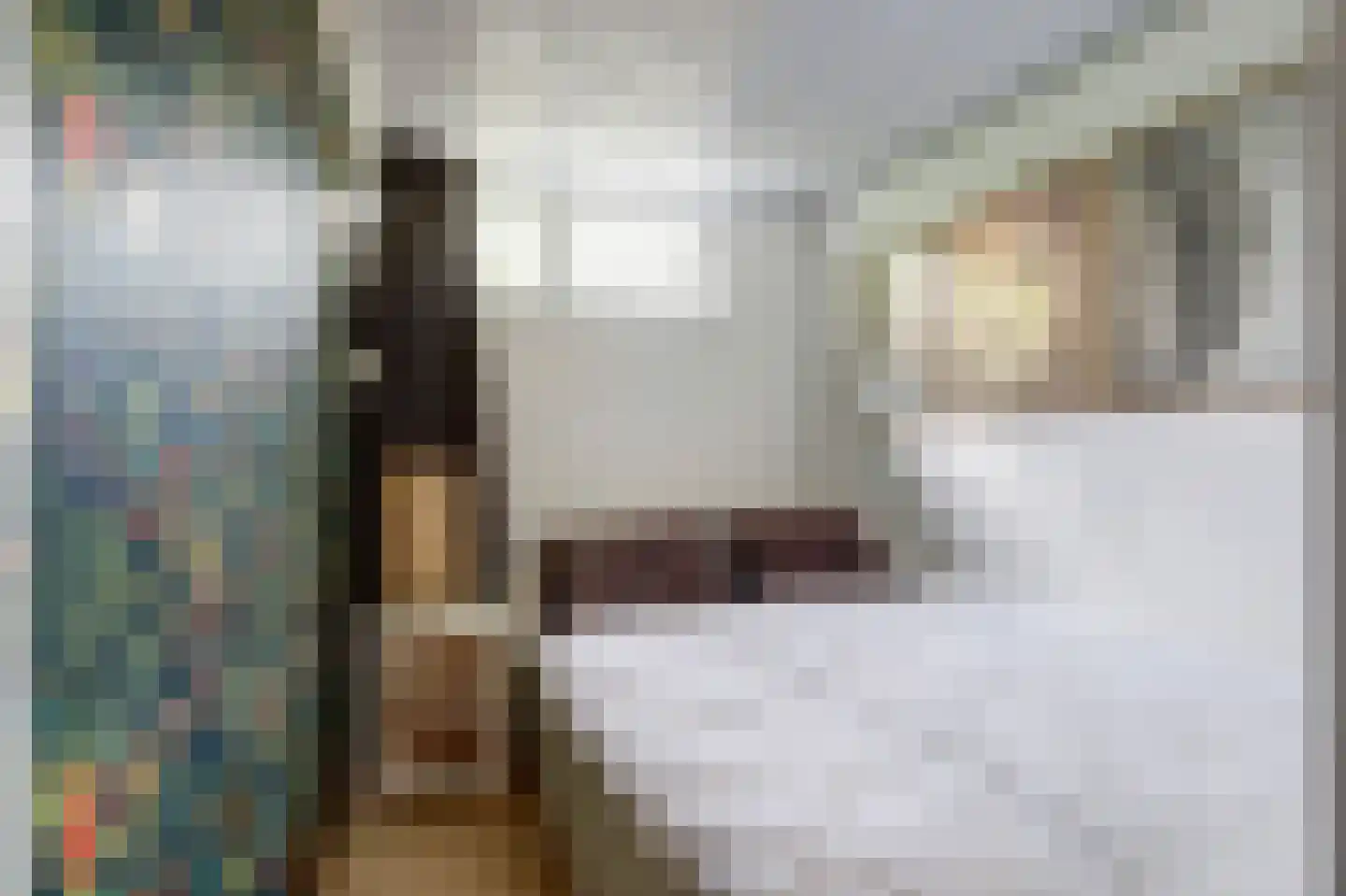 Geertruidaweg 88 Scherpenisse thumbnail 13