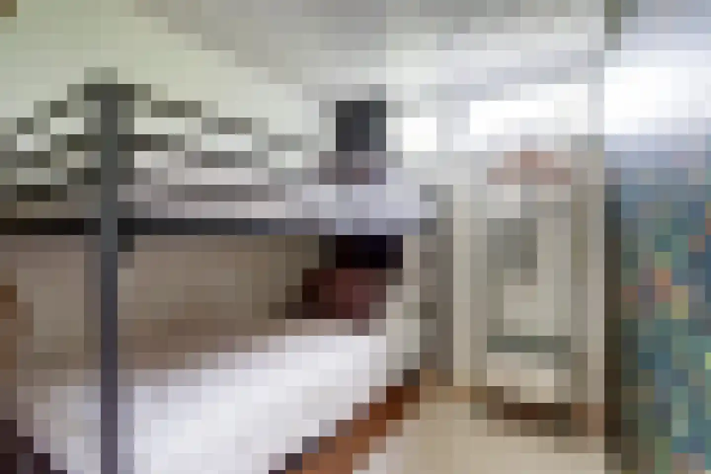 Geertruidaweg 88 Scherpenisse thumbnail 14